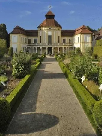 Ara Classic אינגולשטאט